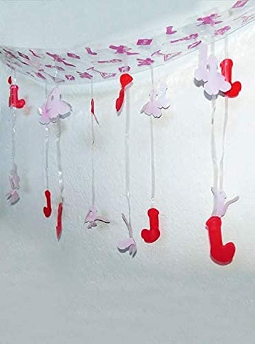 PMU Bachelorette Penis Decor, Bridal Shower Decors, Penis Garland, Hen Party Banner Sign Decorations, Bachelorette Party Supplies Naughty Dirty
