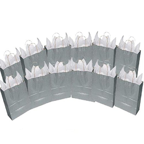 Silver Foil Cube Gift Bags