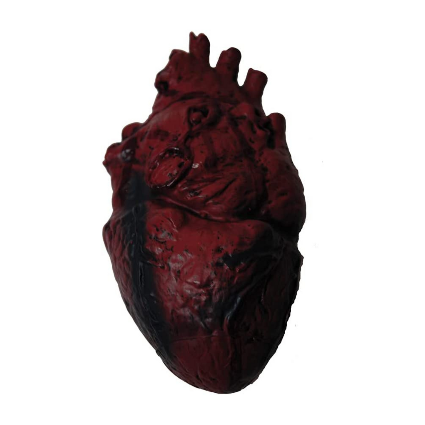 PMU Simulated Body Parts, Learning Resources Anatomy, Brain & Heart, Prank Toys