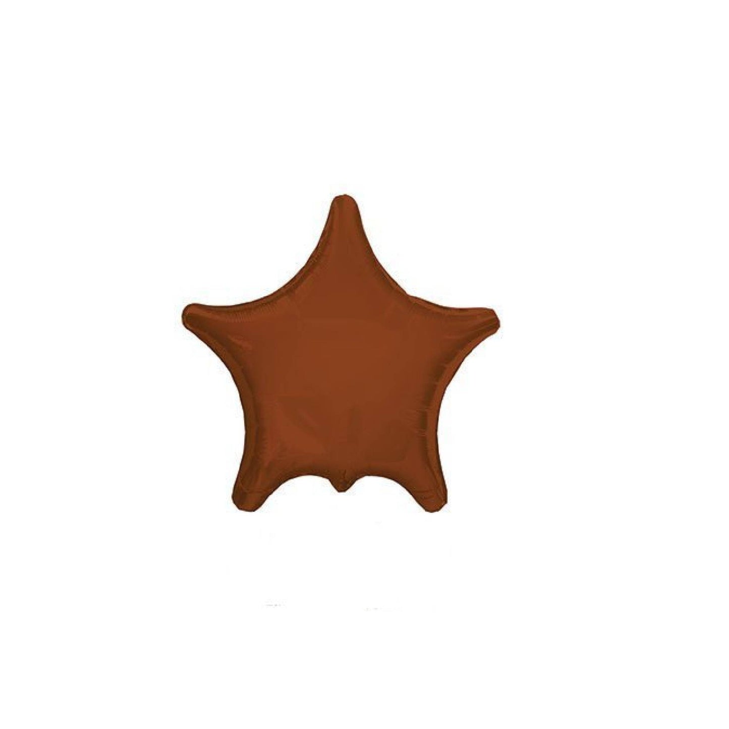 PMU Metallic Star Balloon (22 Inch Mylar)