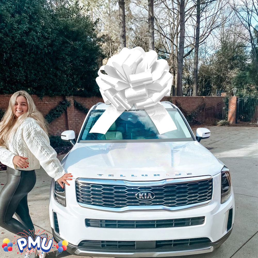 PMU Giant Car Bow, Big Gift Wrapping Bow for Large Gifts, Decorations, Giant Indoor/Outdoor Bow Pkg/1