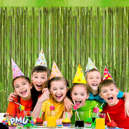 PMU Metallic Fringe Curtains | Metallic Foil Fringe Backdrop Curtains | Fringe Backdrop for Graduation, Birthday Party Decorations, Baby Shower, Disco Party |3ft x 8ft