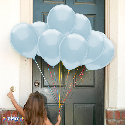 PMU 12 Inch PartyTex Premium Latex Balloon