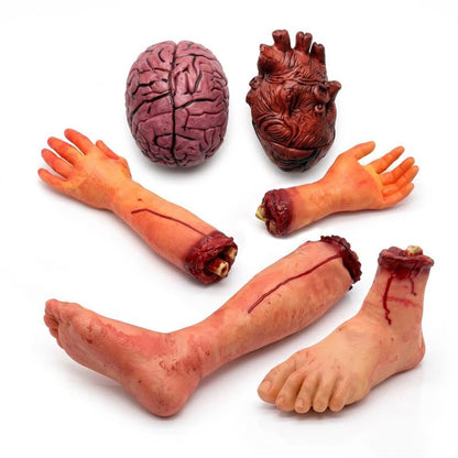 PMU Fake Brain & Fake Heart Body Parts Anatomy Models