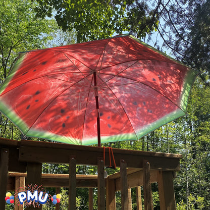 PMU Beach Umbrella Pkg/1