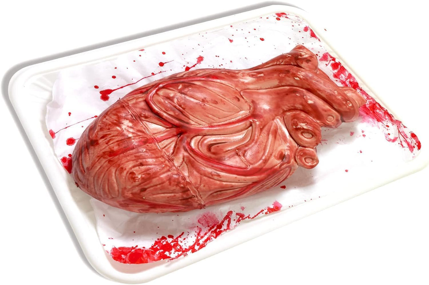 PMU Fake Brain & Fake Heart Body Parts Anatomy Models