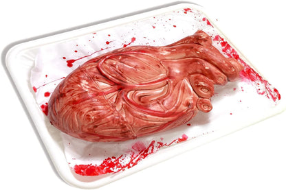 PMU Fake Brain & Fake Heart Body Parts Anatomy Models