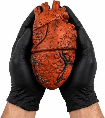 PMU Fake Brain & Fake Heart Body Parts Anatomy Models