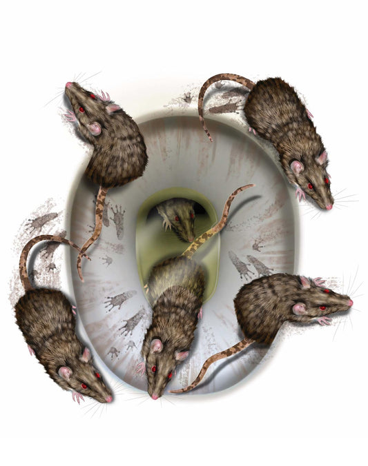 PMU Halloween Party Decoration Accessory Bloody Rat Toilet Seat Cover 12in x 17in Party Accessory (1/pkg) Pkg/1