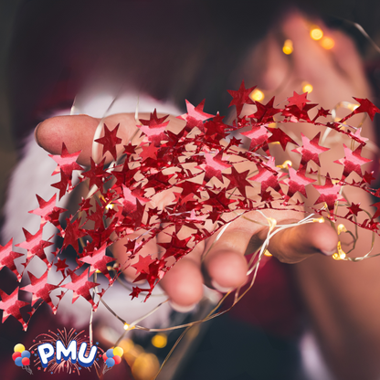 PMU Star Wire Shiny - Garland Halloween, Christmas Party, Wedding, Birthday, Festive Home Decoration Ornament 25ft Tinsel